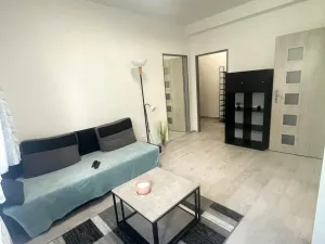 Pronájem bytu 3+1, Brno, Renneská třída, 42 m2