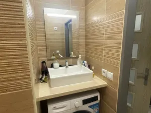 Pronájem bytu 3+1, Brno, Renneská třída, 42 m2