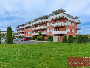 Prodej bytu 3+1, Olomouc, Mošnerova, 81 m2