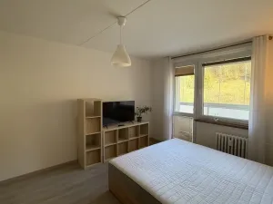 Pronájem bytu 1+1, Vsetín, Dolní Jasenka, 34 m2