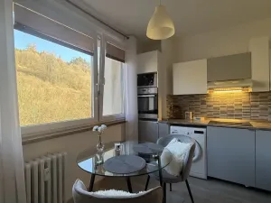 Pronájem bytu 1+1, Vsetín, Dolní Jasenka, 34 m2