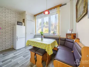 Prodej bytu 2+1, Kyselka - Radošov, 56 m2