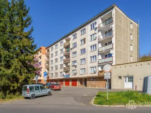 Prodej bytu 2+1, Kyselka - Radošov, 56 m2