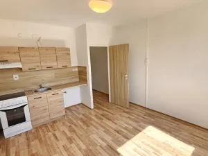 Prodej bytu 1+kk, Ústí nad Labem, Mlýnská, 22 m2