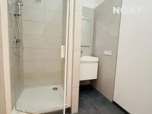 Pronájem bytu 3+kk, České Budějovice, Dobrovodská, 62 m2
