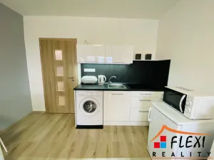 Pronájem bytu 1+kk, Ostrava - Moravská Ostrava, Lechowiczova, 29 m2