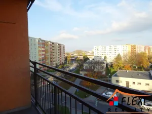 Pronájem bytu 1+kk, Ostrava - Moravská Ostrava, Lechowiczova, 29 m2