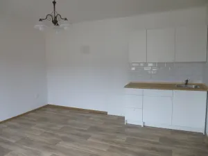 Pronájem bytu 1+1, Děčín - Děčín VI-Letná, Osadní, 46 m2