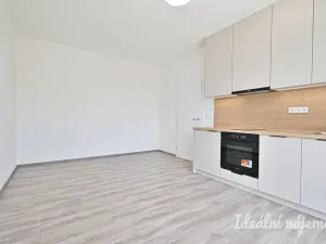 Pronájem bytu 1+kk, Brno, Křenová, 28 m2