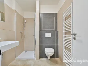 Pronájem bytu 1+kk, Brno - Trnitá, Křenová, 29 m2