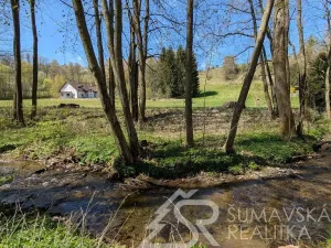 Prodej pozemku, Hartmanice - Chlum, 46489 m2