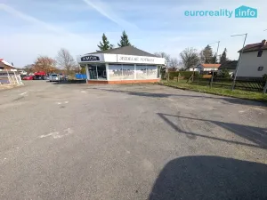 Prodej obchodního prostoru, Rakovice, 160 m2