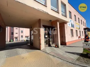 Pronájem obchodního prostoru, Opava, Rybářská, 30 m2