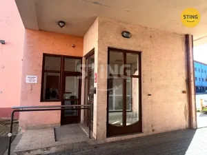 Pronájem obchodního prostoru, Opava, Rybářská, 30 m2