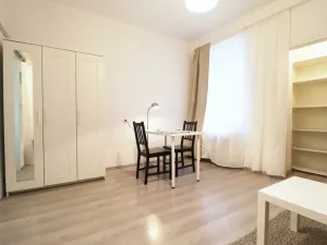 Pronájem bytu 1+kk, Brno - Veveří, Cihlářská, 29 m2