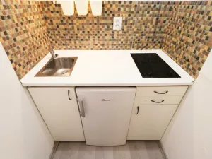 Pronájem bytu 1+kk, Brno - Veveří, Cihlářská, 29 m2