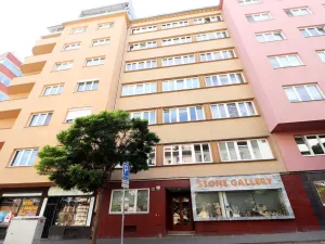 Pronájem bytu 1+kk, Brno - Veveří, Cihlářská, 29 m2