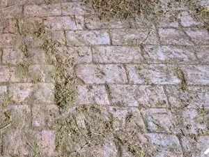 Prodej chalupy, Damnice, 191 m2