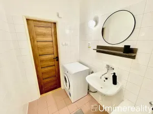 Pronájem bytu 1+1, Mladá Boleslav, Zalužanská, 42 m2