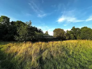 Prodej pozemku pro bydlení, Nová Ves, 4929 m2