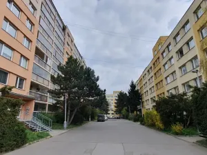 Pronájem bytu 3+1, Praha - Žižkov, Na rovnosti, 75 m2