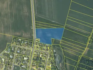 Prodej komerčního pozemku, Velké Hoštice, Nová, 12108 m2