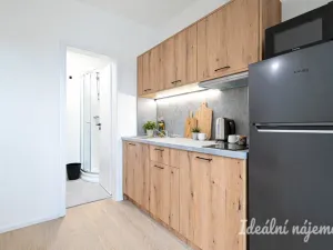 Pronájem bytu 1+1, Brno, Bubeníčkova, 25 m2