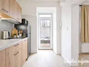 Pronájem bytu 1+1, Brno, Bubeníčkova, 25 m2