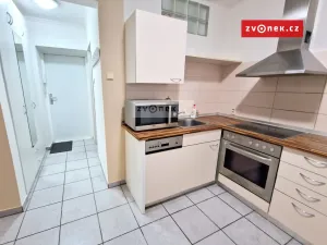 Pronájem bytu 1+1, Zlín, Lazy III, 33 m2