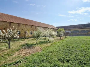 Prodej pozemku pro bydlení, Brázdim, 503 m2