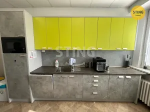 Pronájem kanceláře, Ostrava, Kounicova, 323 m2
