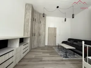 Pronájem bytu 1+1, Chomutov, Školní, 41 m2