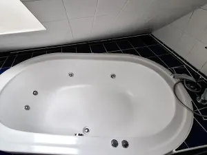 Pronájem bytu 4+kk, Plzeň, Přemyslova, 180 m2