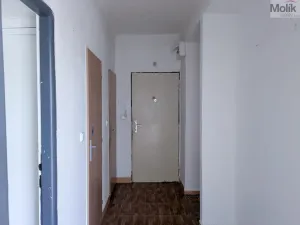 Pronájem bytu 2+1, Duchcov, Teplická, 58 m2