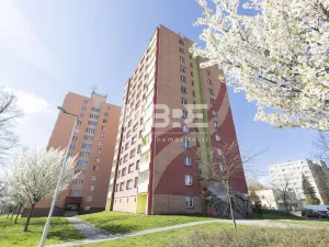 Pronájem bytu 1+kk, Český Těšín, Čáslavská, 32 m2