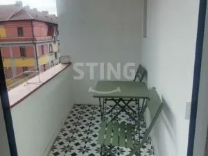 Pronájem bytu 2+kk, České Budějovice, Čechova, 55 m2