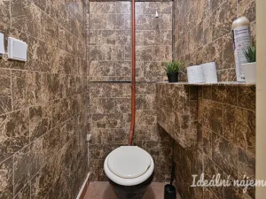 Pronájem bytu 1+1, Brno, Křížová, 37 m2