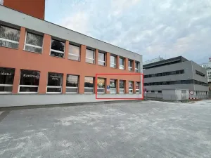 Pronájem kanceláře, Rožnov pod Radhoštěm, 1. máje, 133 m2