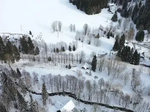 Prodej pozemku pro bydlení, Říčky v Orlických horách, 5940 m2