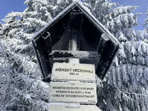 Prodej pozemku pro bydlení, Říčky v Orlických horách, 5940 m2