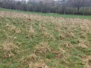 Prodej pozemku pro bydlení, Polom, 5462 m2