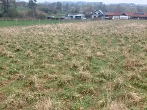 Prodej pozemku pro bydlení, Polom, 5462 m2