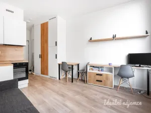 Pronájem bytu 1+kk, Praha - Smíchov, Plzeňská, 21 m2