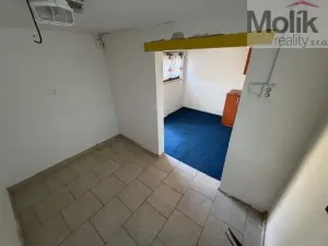 Prodej zahrady, Braňany, Pod Školou, 265 m2