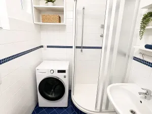 Pronájem bytu 1+1, Brno, Jircháře, 43 m2