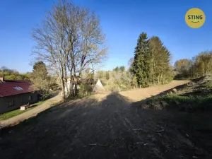 Prodej pozemku pro bydlení, Dolní Cerekev, 3350 m2