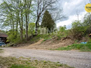 Prodej pozemku pro bydlení, Dolní Cerekev, 3350 m2
