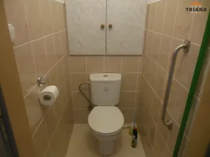 Pronájem bytu 4+1, Liberec, Březová alej, 83 m2