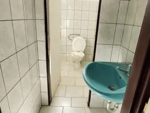 Prodej činžovního domu, Aš, Tyršova, 193 m2