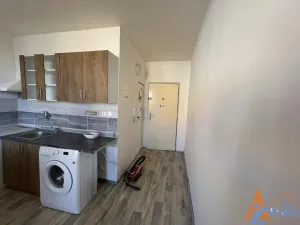 Pronájem bytu 1+1, Chomutov, Dřínovská, 35 m2